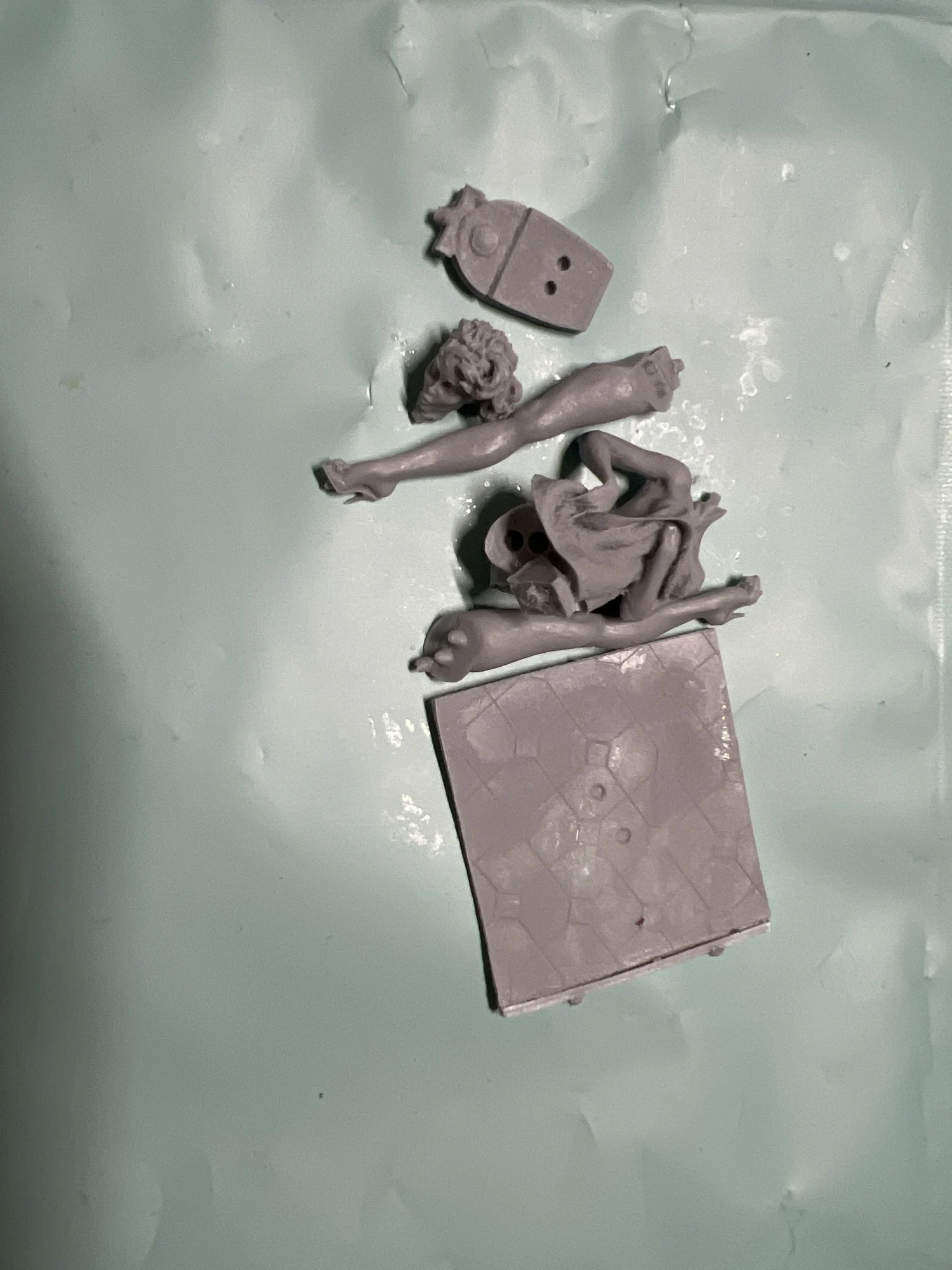 Buyer photo of this resin kit
