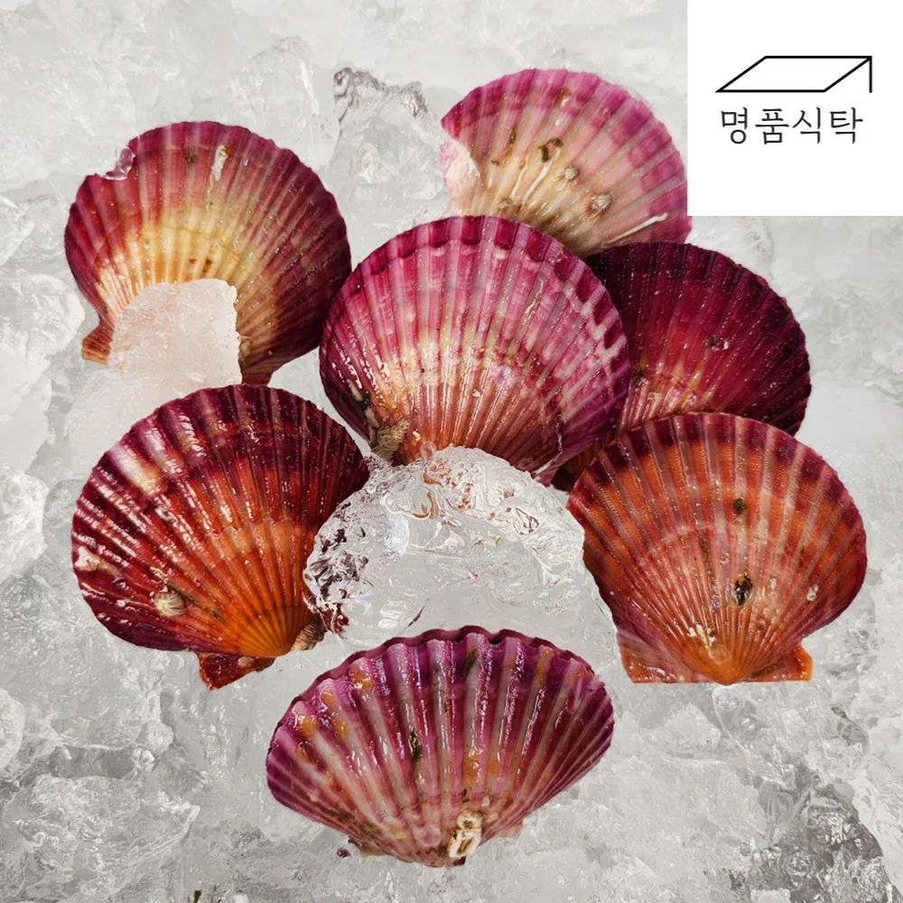 (Comparing with Janjanbari!) Tongyoung red scallops Salways 1kg (around 20 US)