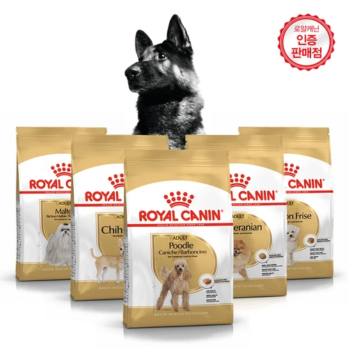 쟈뎅 에스프레소스틱 로얄 헤이즐넛 100T 2박스 