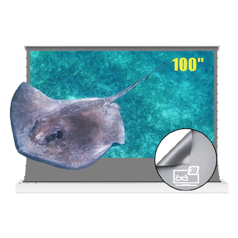 

VIVIDSTORM 100 inch S Electric CLR Rollable Projector Screen 3D Obsidian Long Throw Ambient Light Rejecting for Normal Projector