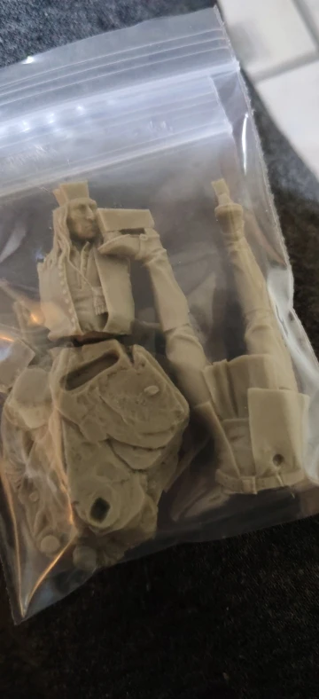 Buyer photo of this resin kit