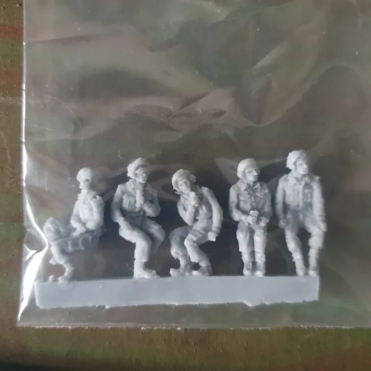 Buyer photo of this resin kit
