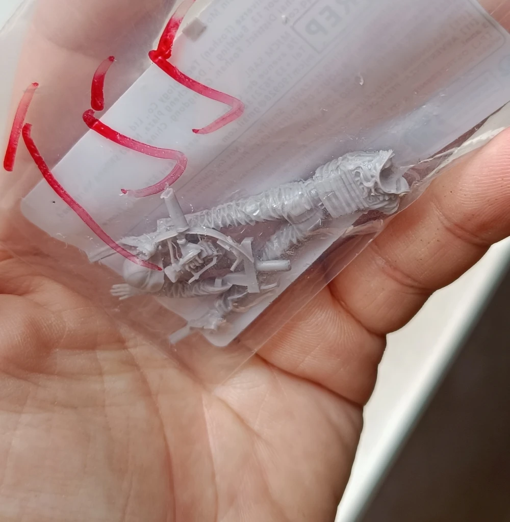 Buyer photo of this resin kit