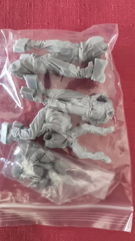 Buyer photo of this resin kit
