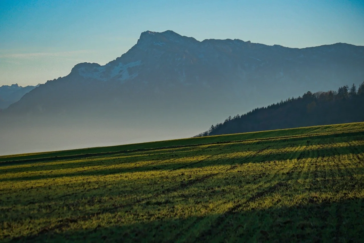 

Профессиональный аппарат для криолиполиза 2026 года с 8 насадками Diamond Ice Cryo Pads для удаления жира и холодной коррекции фигуры