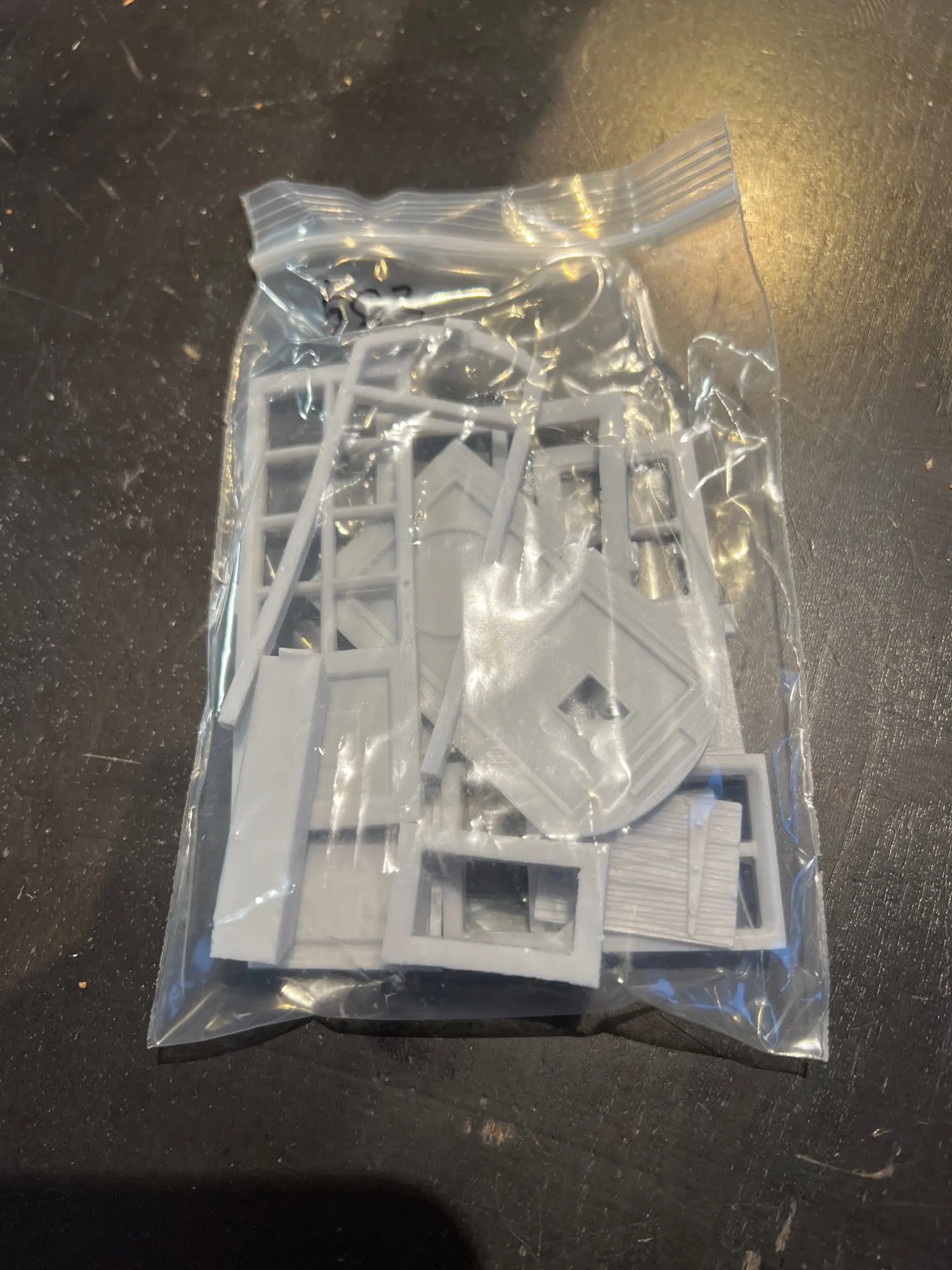 Buyer photo of this resin kit