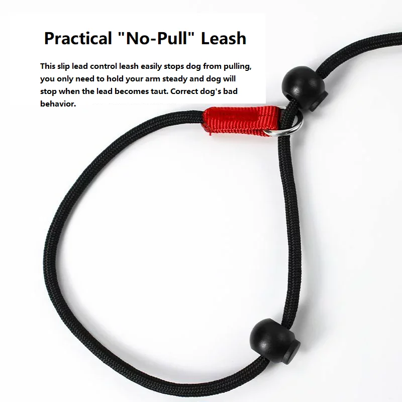 Training Dog Choking Rope Leash 2 in 1 Lead Collar 150cm P-Shaped Chain Slip Lead Control Leash for Small Large Competition Dogs