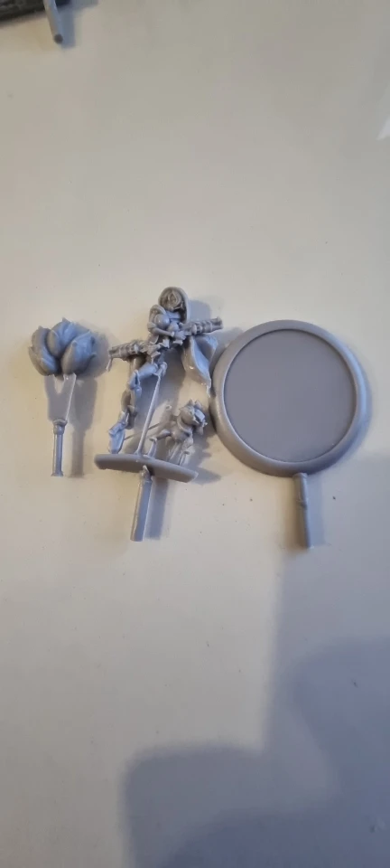 Buyer photo of this resin kit