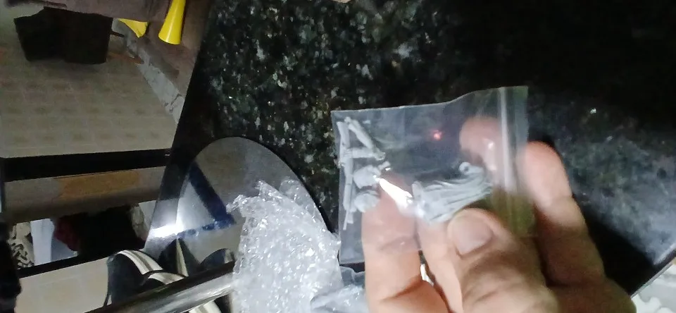 Buyer photo of this resin kit