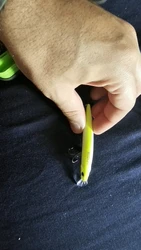 Imagen de reseña 2