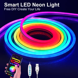 Neon LED Strip Lights 5V 3/2/1M Silicone Neon Rope Light Music Sync DIY APP MeRGBW Dreamcolor Chasing Strip Tape Room Wall Decor