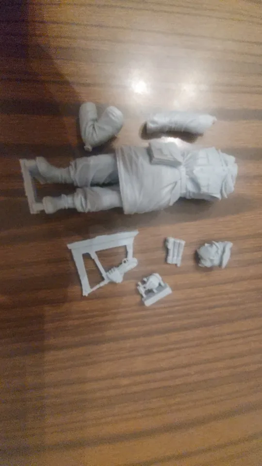 Buyer photo of this resin kit