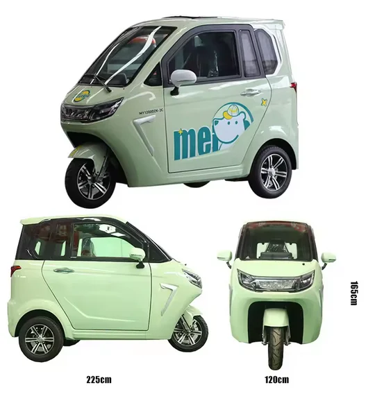 Geschlossener Solar handel 1000w Mini Trike Fett elektrisches Dreirad mit Dach