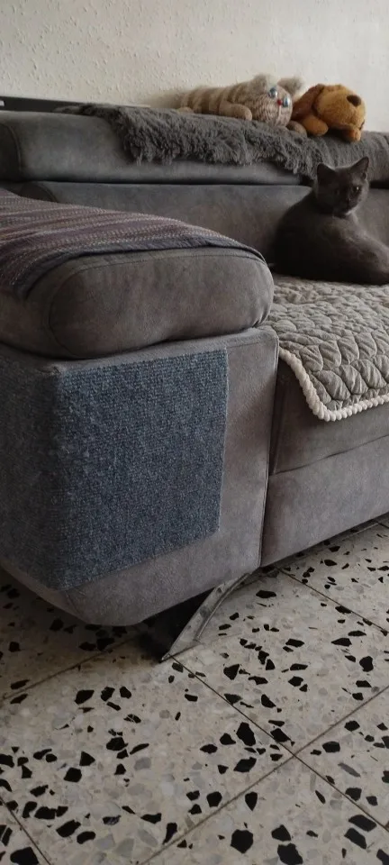 Customer review photo for Self-Adhesive Cat Scratch Furniture Protector