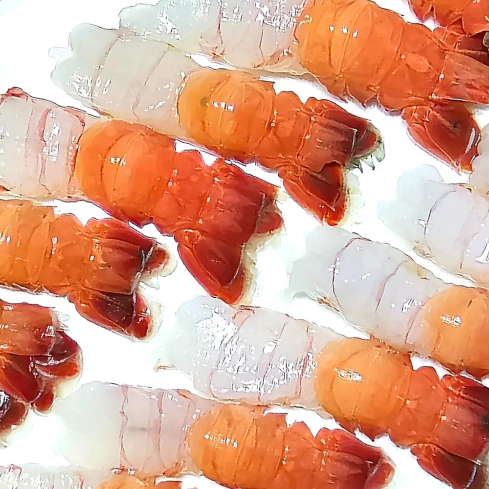 [Mountain Pilgrimage] Jeju Natural Mountain Shrimp