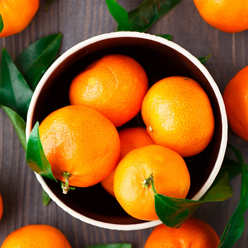 청정제주 새콤달콤 감귤 하우스 감귤