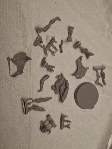 Buyer photo of this resin kit
