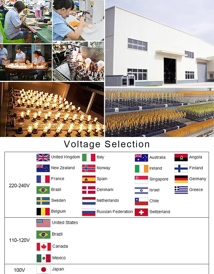 10Pcs Decorative LED Bulb E27 Retro Dimmable G40 Pineapple 1W Warm White 10W Equivalent Incandescent Vintage Light Bulbs 220V