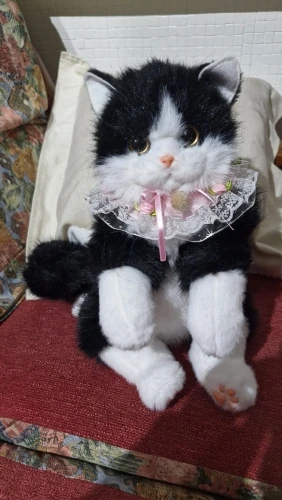 리뷰 사진