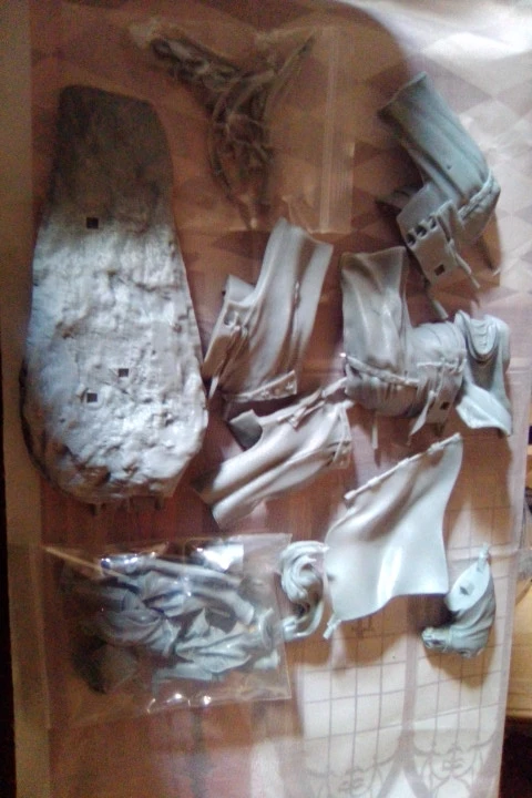 Buyer photo of this resin kit