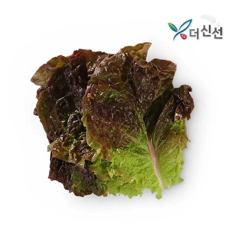 500g GAP certified red lettuce