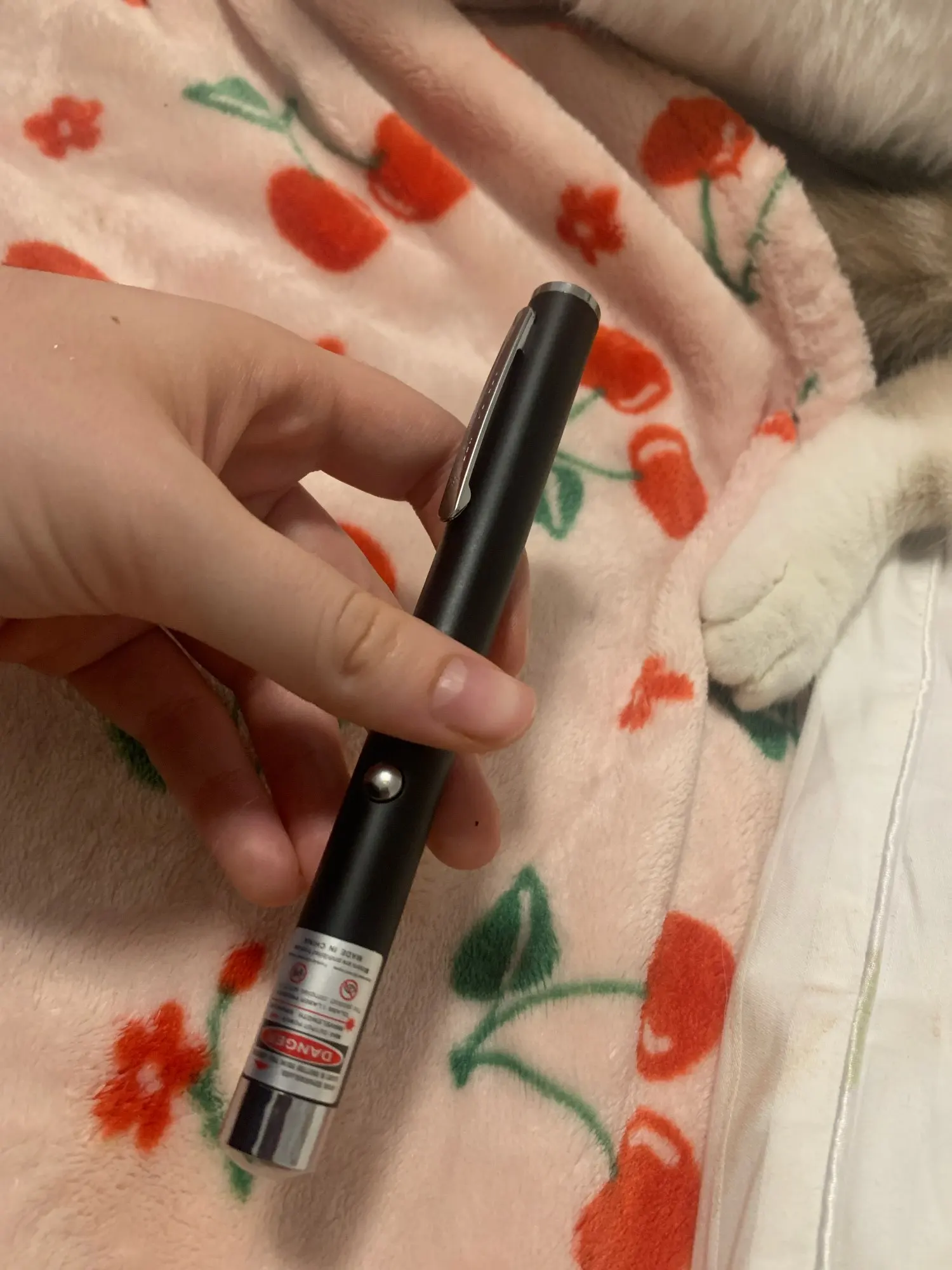 Customer review photo