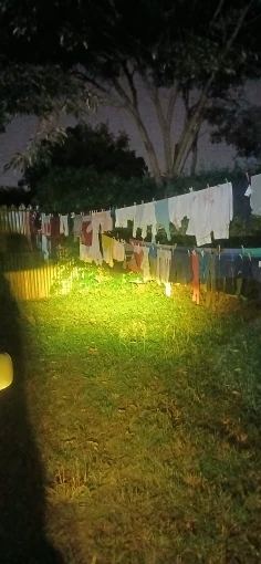 리뷰 사진