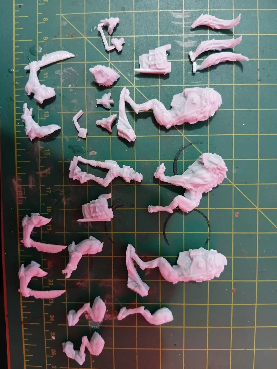 Buyer photo of this resin kit