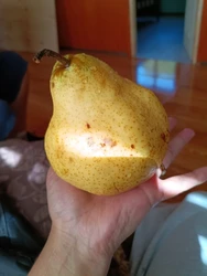 Imagen de reseña 1