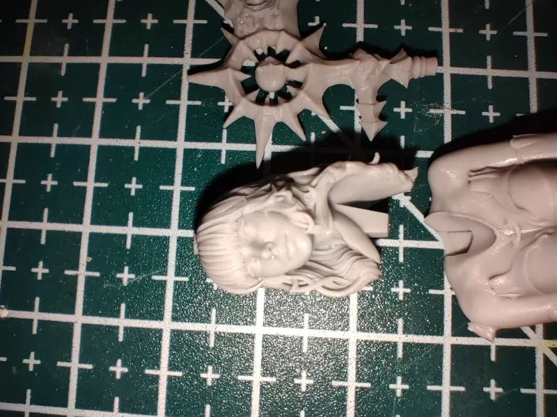Buyer photo of this resin kit