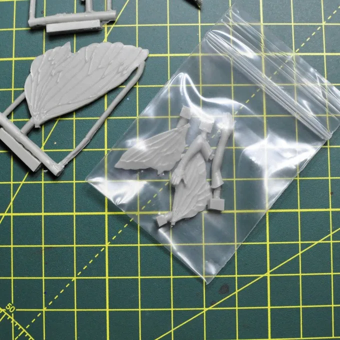 Buyer photo of this resin kit