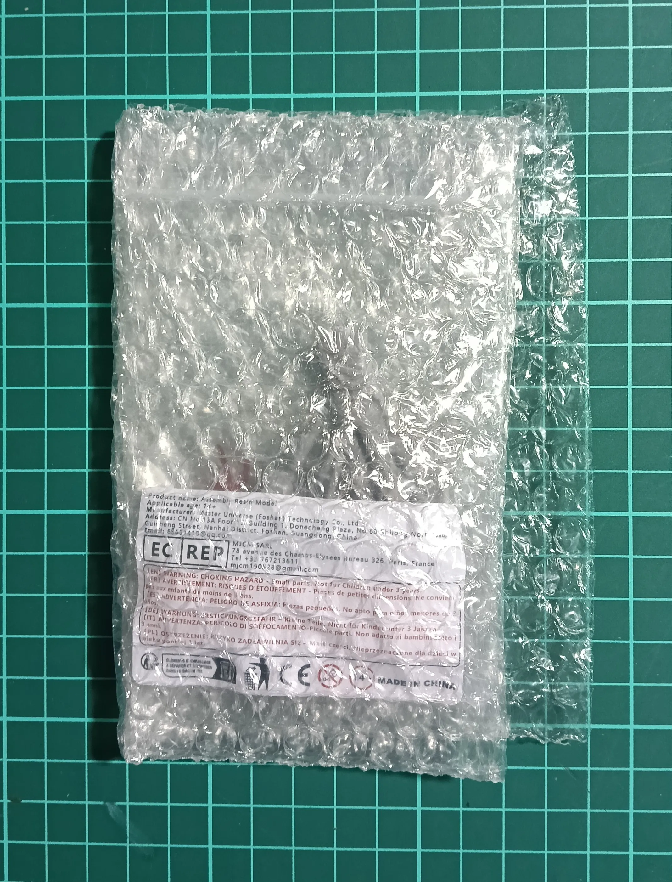 Buyer photo of this resin kit