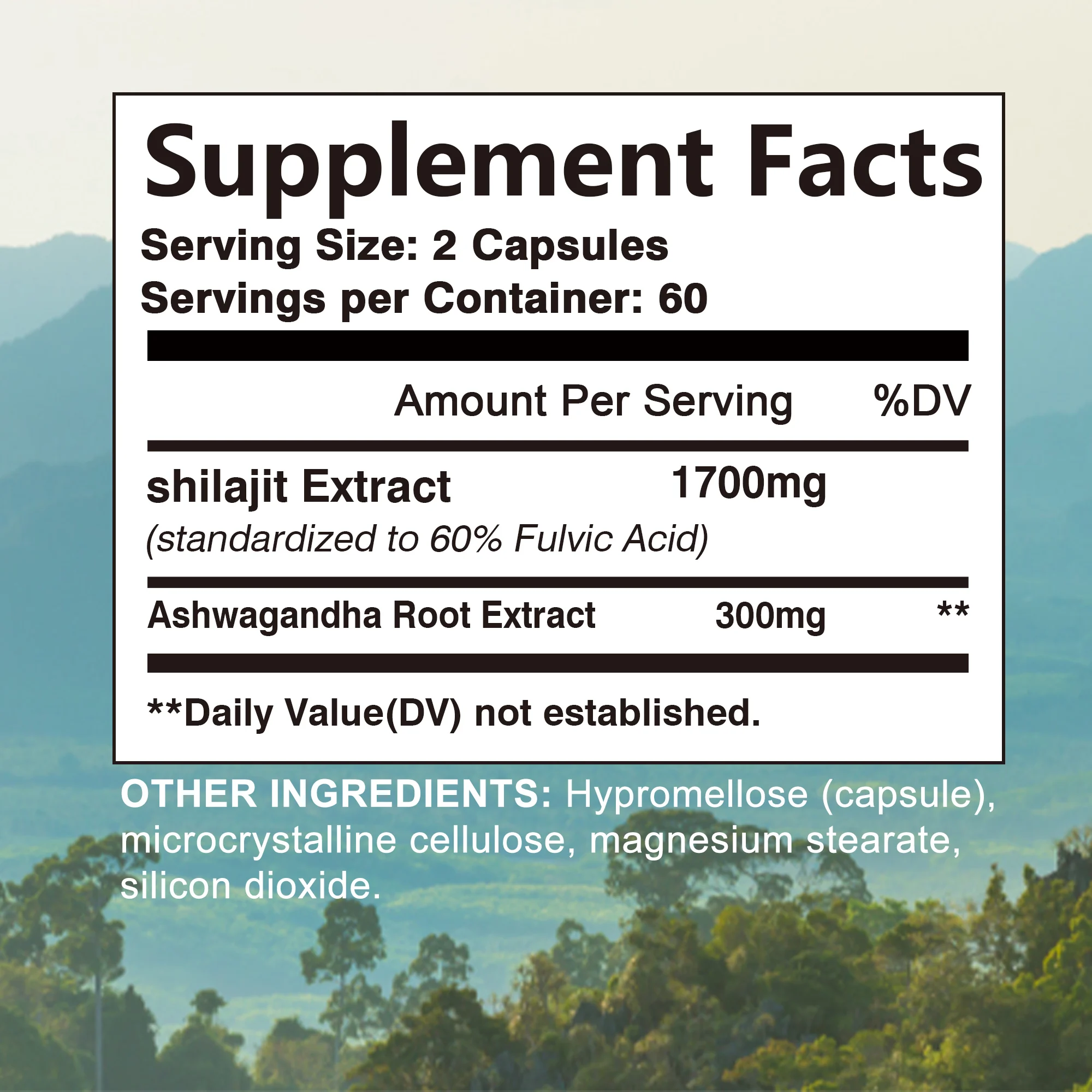 Shilajit - Rich in Natural Fulvic Acid and 85+ Trace Minerals - Enhance Energy Endurance, Improve Concentration - 120 Capsules