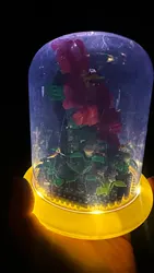 Imagen de reseña 2