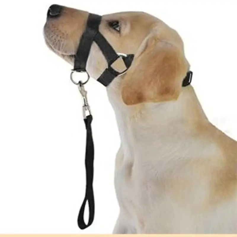 Dog Muzzle Dog Mouth Traction Rope Pet Training Dog Rope Dog Mouth Cover Nose Ring Anti-barking Anti-biting Control Adjustable