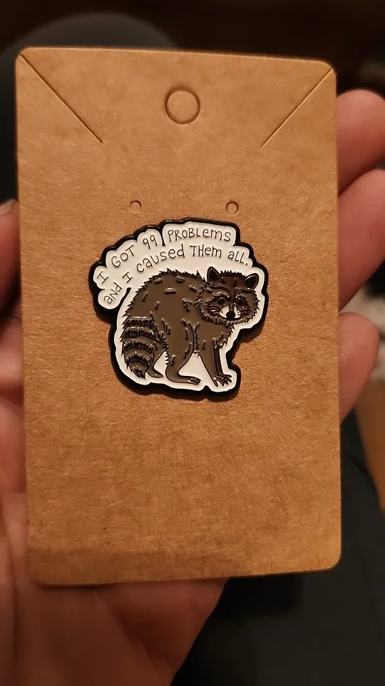 I Got 99 Problems And I Caused Them All Enamel Pin ‌Jay-Z‌ Lyrics Cute Raccoon Animal Brooch Lapel Badge Fashion Jewelry Gift photo review