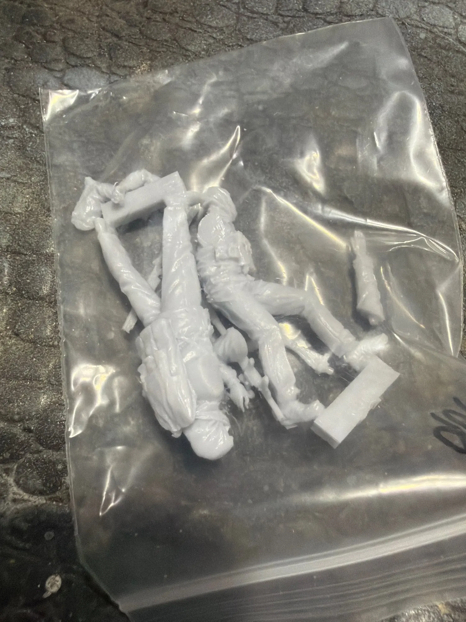 Buyer photo of this resin kit