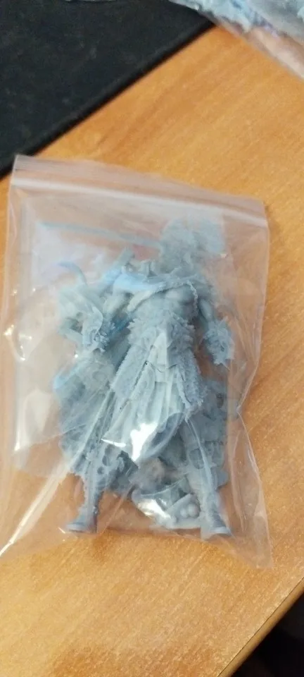 Buyer photo of this resin kit