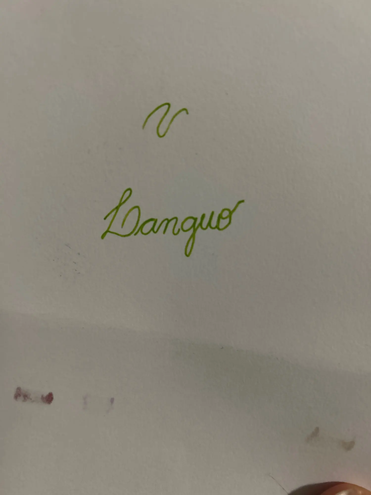 리뷰 사진