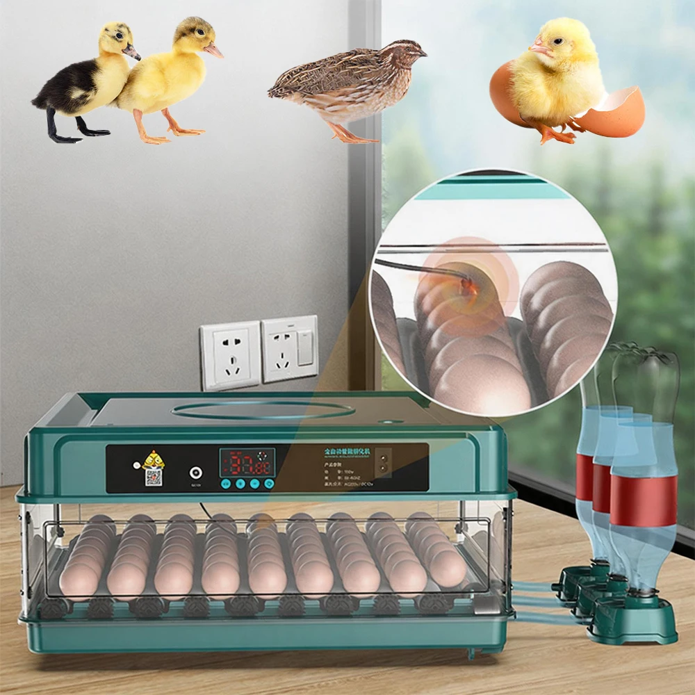 Incubateur d'œufs entièrement automatique, incubateur de poussins, remplissage automatique d'eau, contrôle de la température, double alimentation 220V 12V