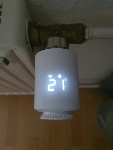 리뷰 사진