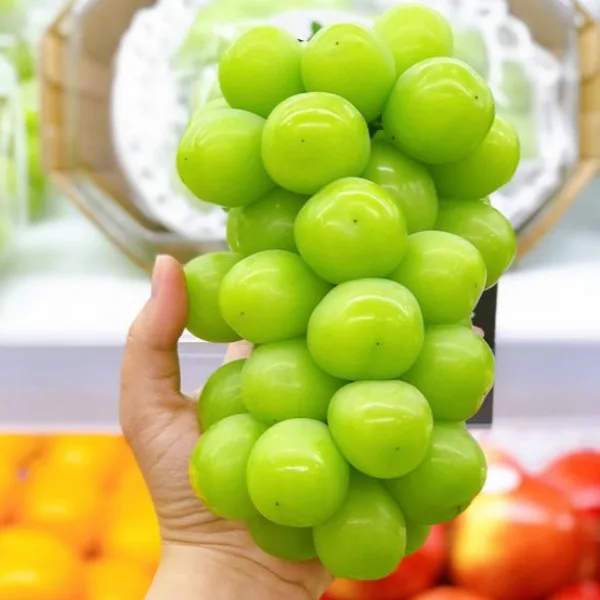 [Footy Ann] High-sugar Shin Musket Mango grapes with large and seedless eggs