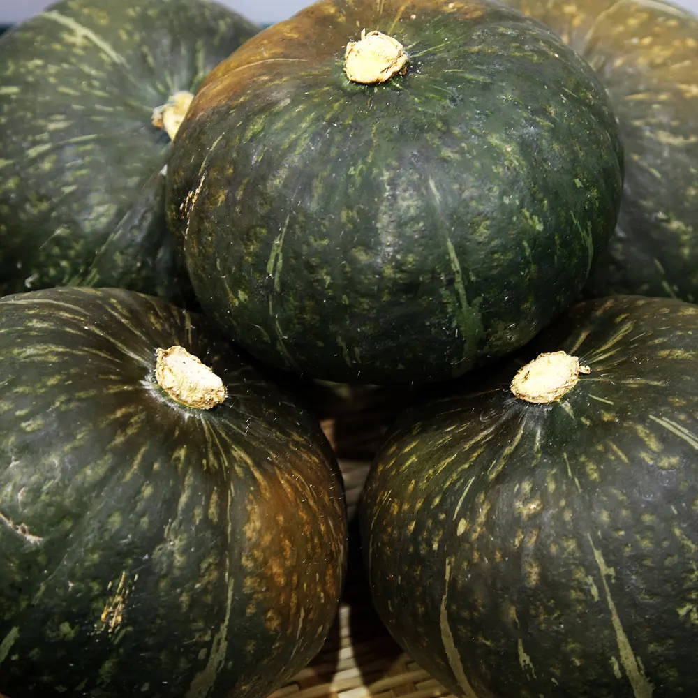 [قرية سانجياونج] اليقطين الحلو 5 كجم 10 كجم