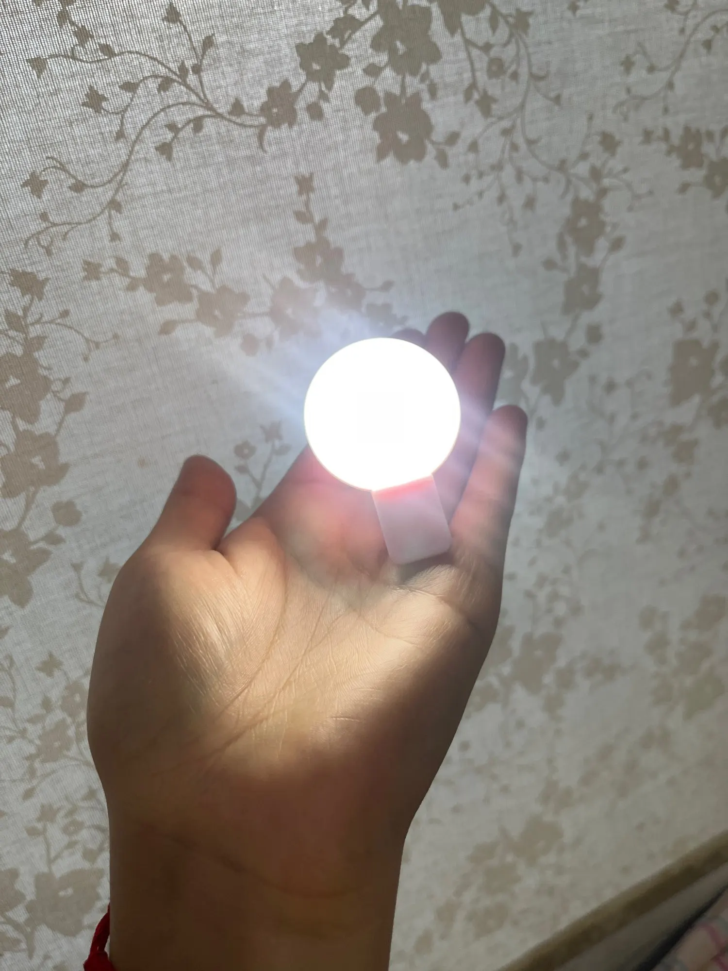 실물 포토 리뷰
