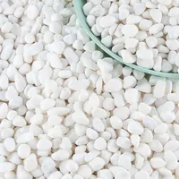 100/300/500G White Pebbles Decorative Stones for Plants-Natural River Rocks for Garden Landscaping, Succulent & Cacti Potting 5