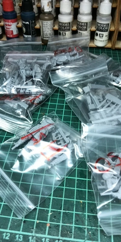 Buyer photo of this resin kit