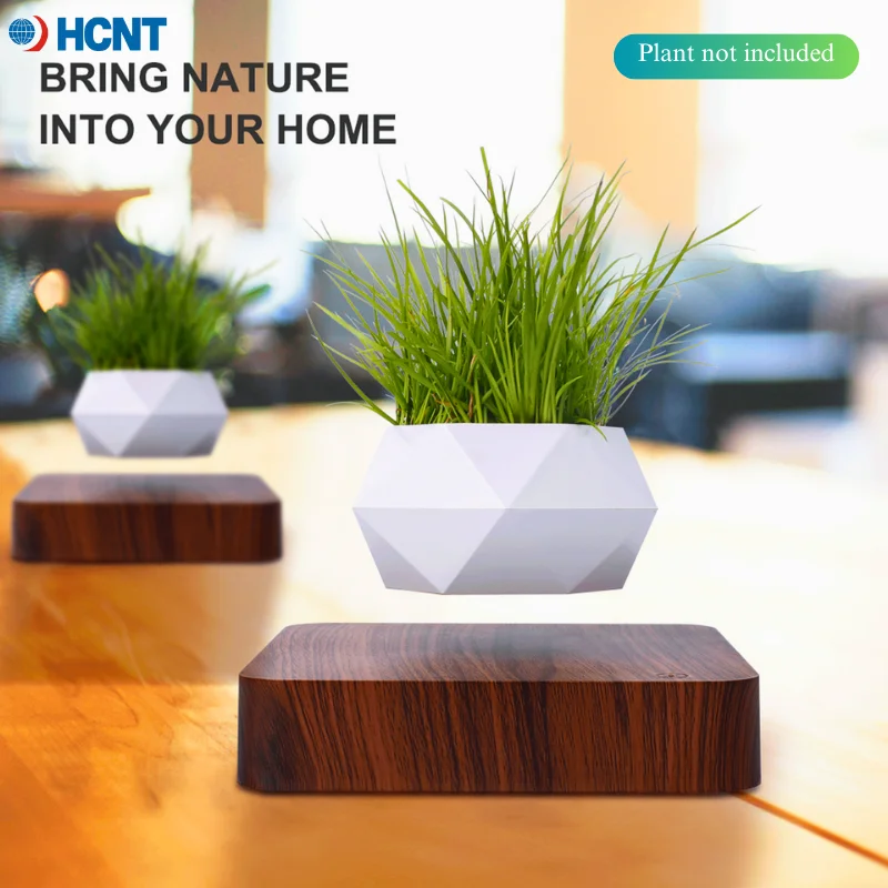 Floating Plant Pot Magnetic Levitating Plant Pot for Succulents Air Bonsai  and Fake Flowers and Plants Unique Decor for Home Off - AliExpress 15