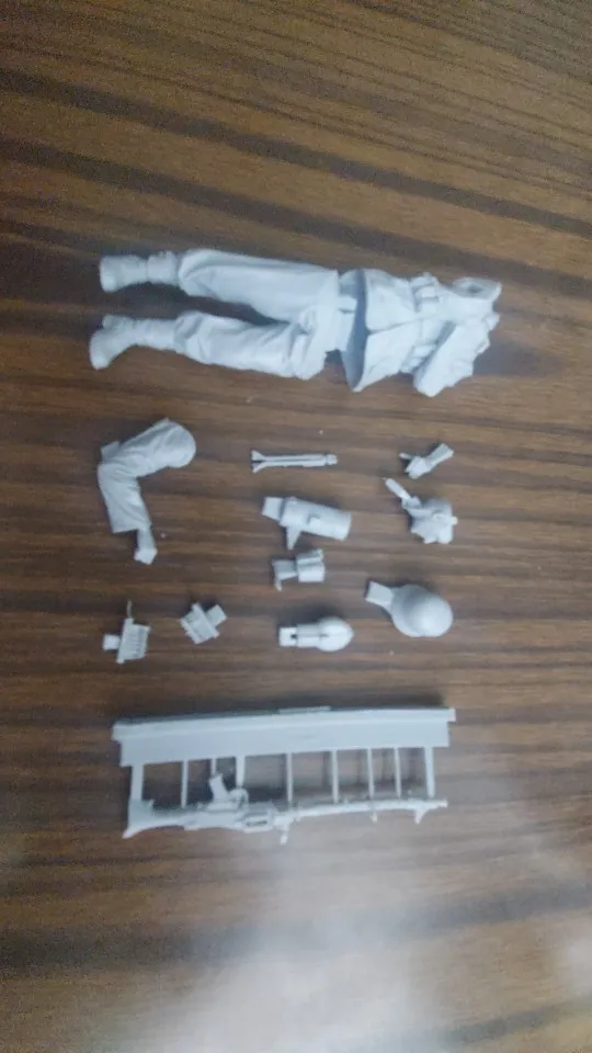Buyer photo of this resin kit