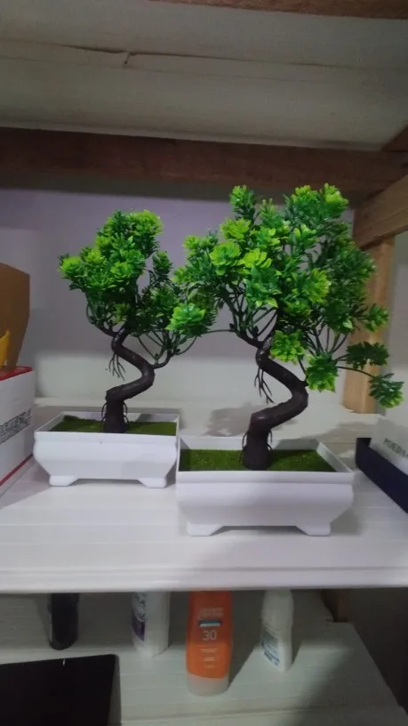Garden Arrangement Ornaments Plastic Plants Bonsai Small Tree Pot Fake Plant Potted Flower Home Room Table Decoration photo review