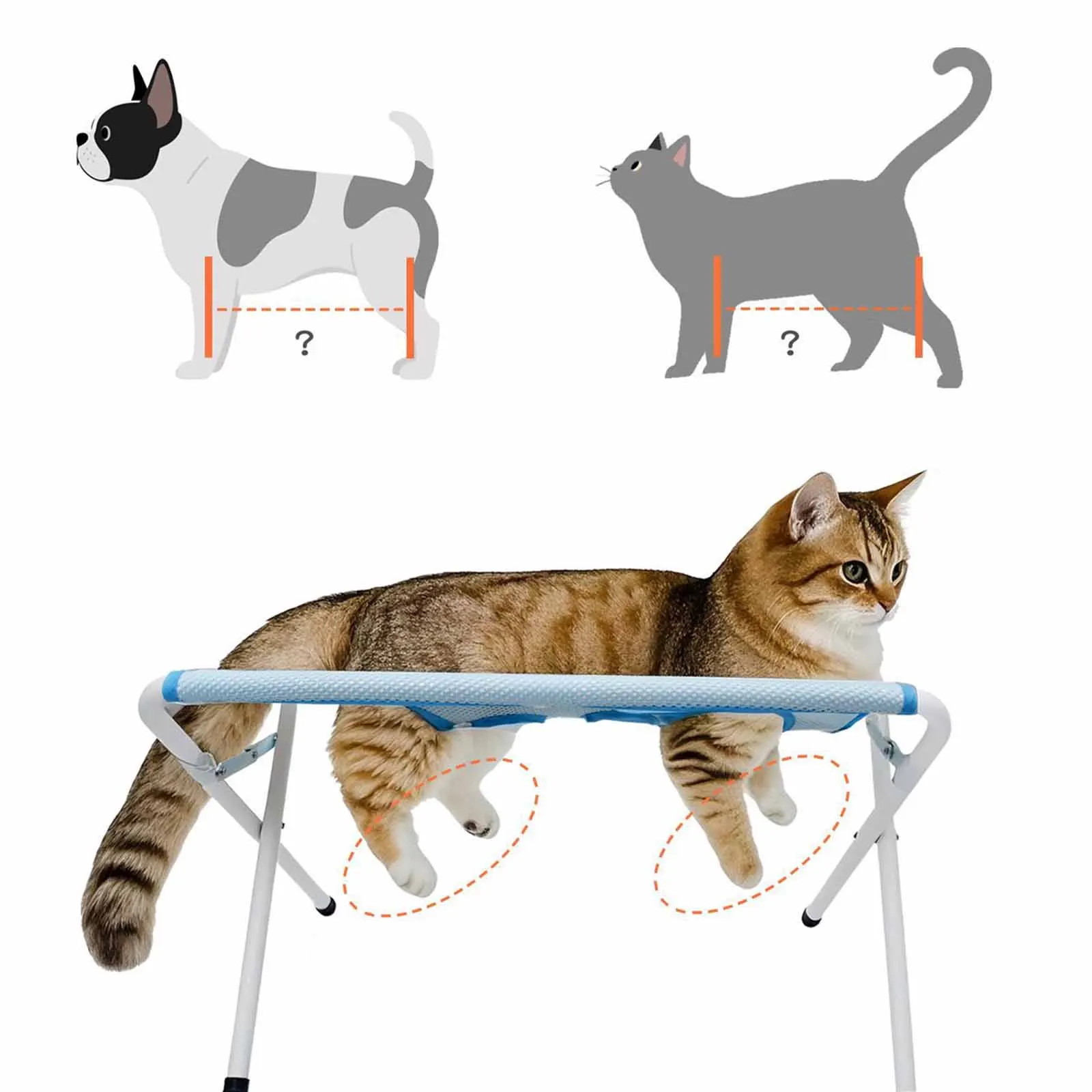 

Pet Grooming Table Indoor Detachable Dog Bathing Stand Scratch Resistant Fast Dry for Kitten Cat Nail Trimming Puppy Washing